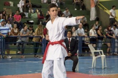 V Copa Sensei José André Ferreira