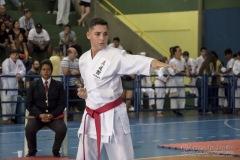 V Copa Sensei José André Ferreira