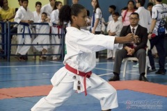 V Copa Sensei José André Ferreira