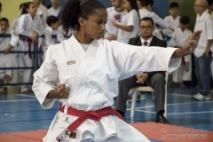 V Copa Sensei José André Ferreira