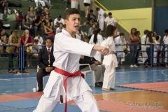 V Copa Sensei José André Ferreira