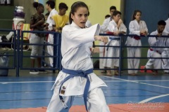 V Copa Sensei José André Ferreira