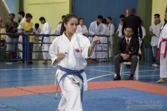 V Copa Sensei José André Ferreira