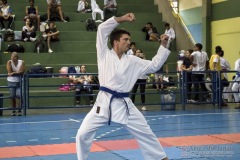 V Copa Sensei José André Ferreira