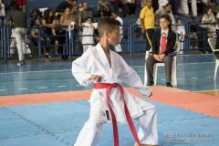 V Copa Sensei José André Ferreira