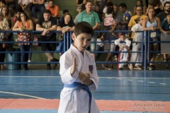 V Copa Sensei José André Ferreira