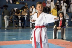 V Copa Sensei José André Ferreira