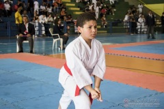 V Copa Sensei José André Ferreira