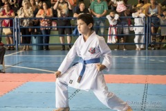 V Copa Sensei José André Ferreira