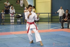 V Copa Sensei José André Ferreira