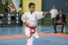 V Copa Sensei José André Ferreira