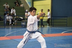 V Copa Sensei José André Ferreira