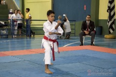 V Copa Sensei José André Ferreira