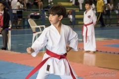 V Copa Sensei José André Ferreira