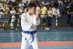 V Copa Sensei José André Ferreira