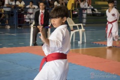 V Copa Sensei José André Ferreira