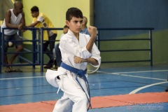 V Copa Sensei José André Ferreira