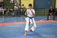 V Copa Sensei José André Ferreira