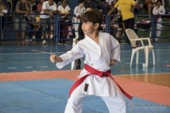 V Copa Sensei José André Ferreira