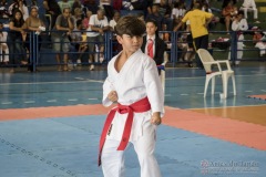 V Copa Sensei José André Ferreira