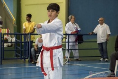 V Copa Sensei José André Ferreira