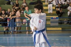 V Copa Sensei José André Ferreira