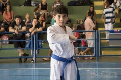 V Copa Sensei José André Ferreira