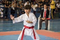 V Copa Sensei José André Ferreira