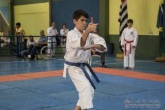 V Copa Sensei José André Ferreira