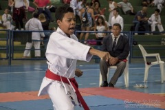 V Copa Sensei José André Ferreira