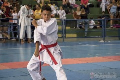 V Copa Sensei José André Ferreira