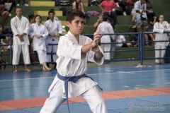 V Copa Sensei José André Ferreira