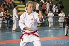 V Copa Sensei José André Ferreira