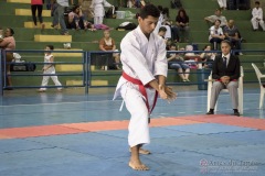 V Copa Sensei José André Ferreira