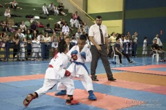 V Copa Sensei José André Ferreira