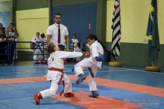 V Copa Sensei José André Ferreira