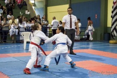 V Copa Sensei José André Ferreira