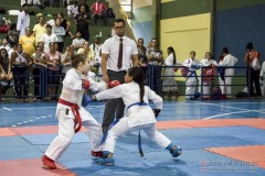 V Copa Sensei José André Ferreira