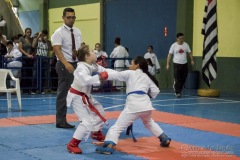 V Copa Sensei José André Ferreira