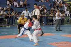 V Copa Sensei José André Ferreira