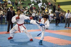 V Copa Sensei José André Ferreira