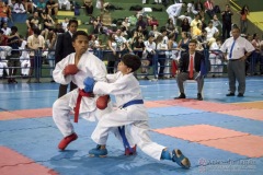 V Copa Sensei José André Ferreira