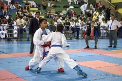 V Copa Sensei José André Ferreira