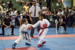 V Copa Sensei José André Ferreira