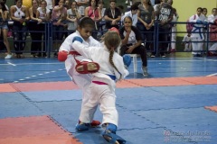 V Copa Sensei José André Ferreira