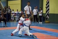 V Copa Sensei José André Ferreira