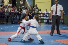 V Copa Sensei José André Ferreira