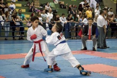 V Copa Sensei José André Ferreira