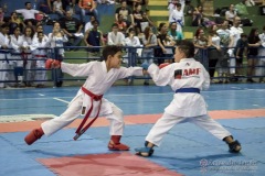 V Copa Sensei José André Ferreira