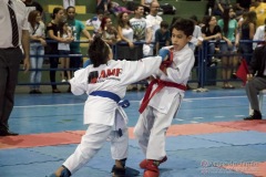 V Copa Sensei José André Ferreira